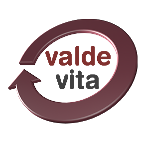 valde vita – Ambulanter Pflegedienst in Elxleben bei Erfurt Logo