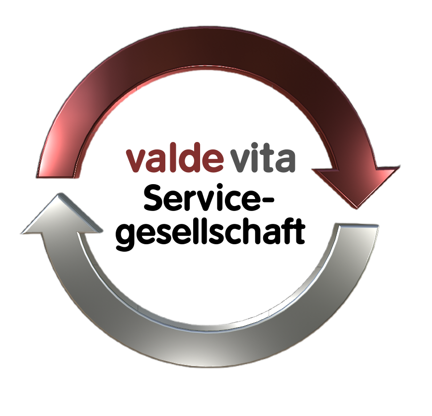 vv_Logo_Service
