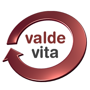 vv_logo
